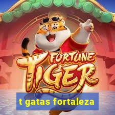 t gatas fortaleza